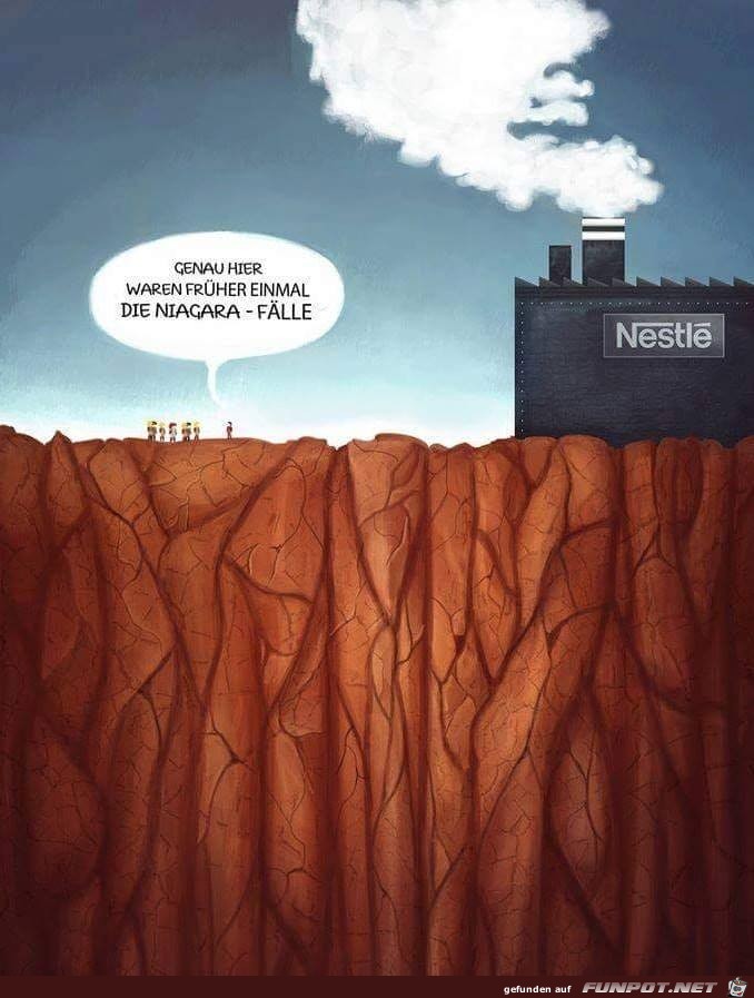 Nestle Nestle