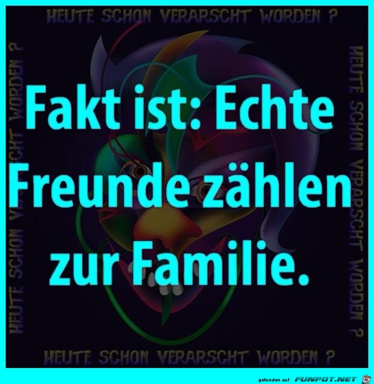 Freunde Freunde