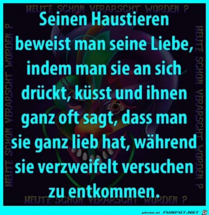 Haustiere Haustiere