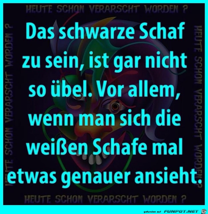 Schafe