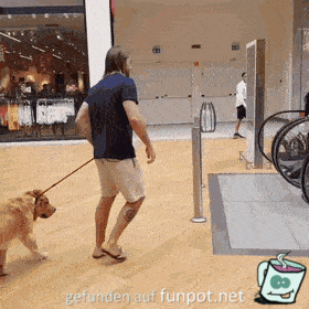 Hund traut sich nicht Hund traut sich nicht