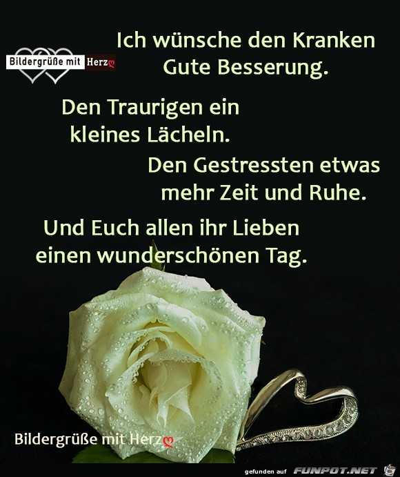 Gute Besserung Gute Besserung