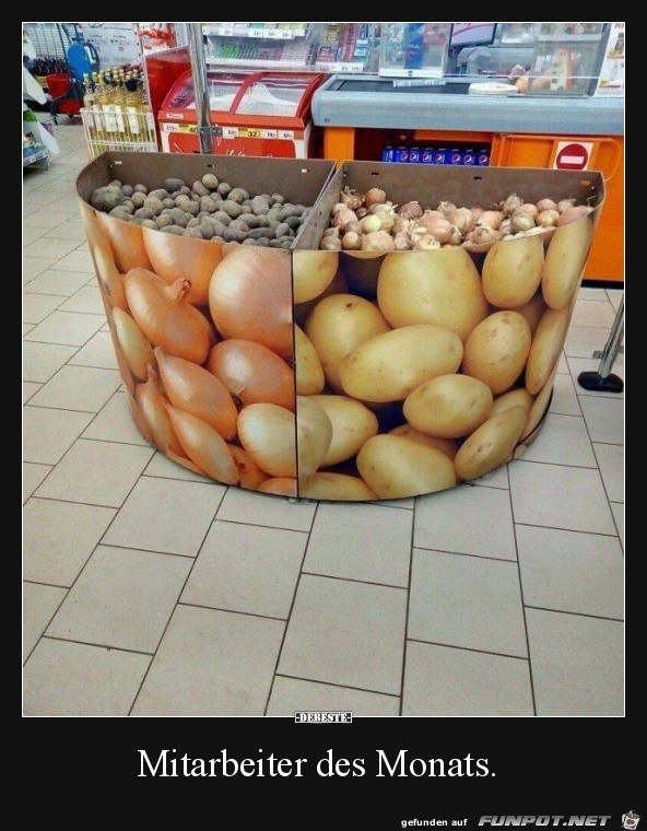 Hier war nicht die hellste Kerze am Werk Hier war nicht die hellste Kerze am Werk