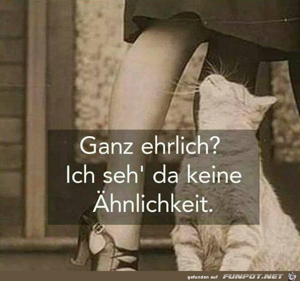 Keine Ähnlichkeit Keine Ähnlichkeit