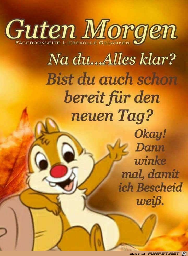 Guten Morgen Guten Morgen