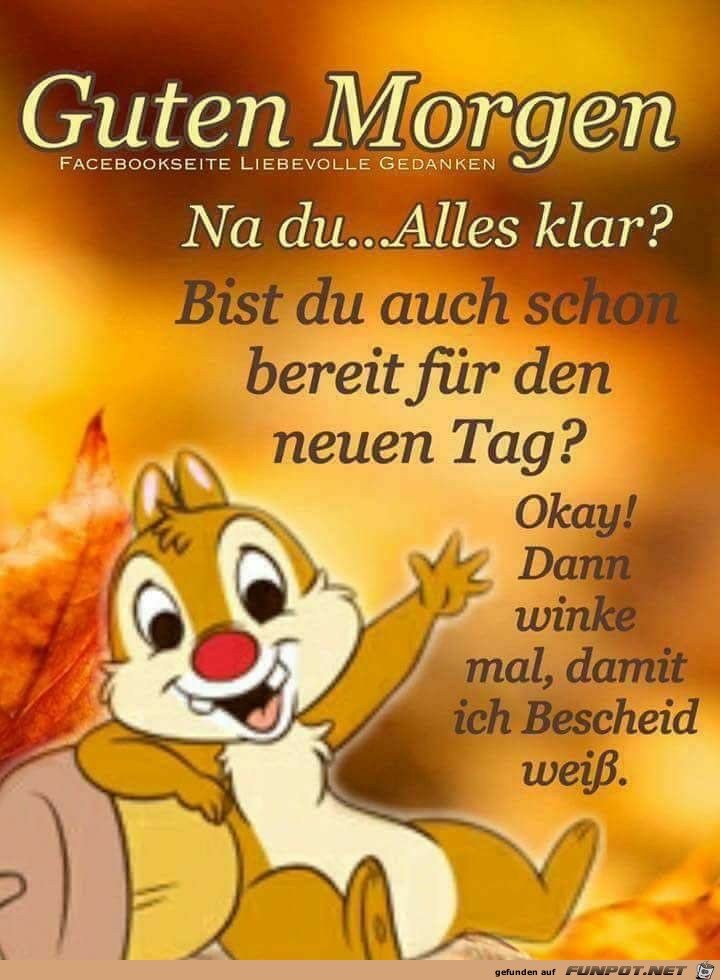 Guten Morgen