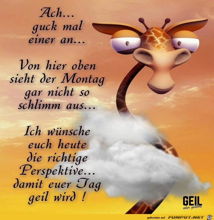Ach guck mal Ach guck mal