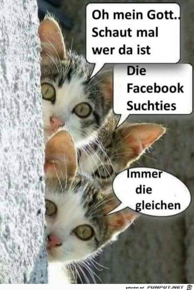 Die Suchties Die Suchties