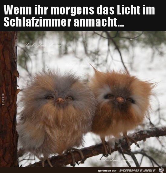 Es ist zu hell Es ist zu hell
