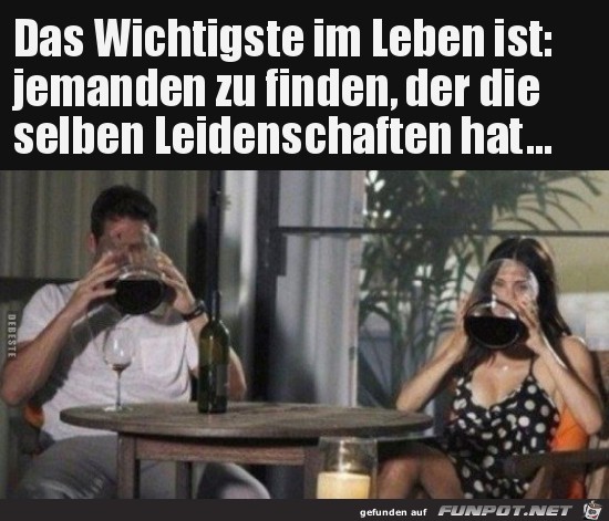 Super Gemeinsamkeit Super Gemeinsamkeit