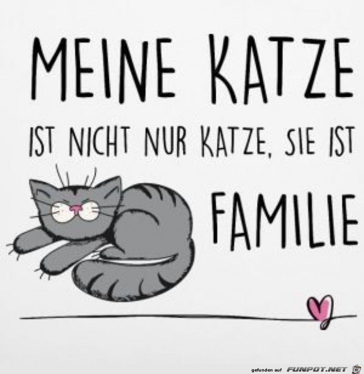 Meine Katze