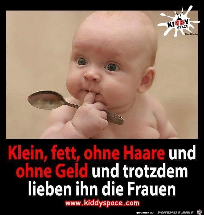 klein fett klein fett