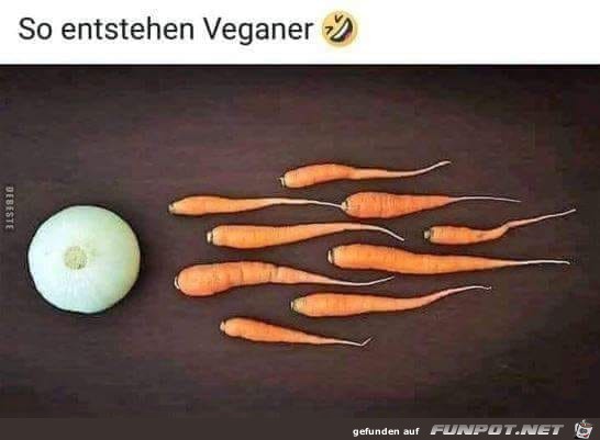 So entstehen Veganer