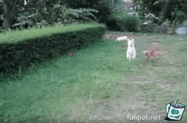 Das Problem wenn man zu klein ist Das Problem wenn man zu klein ist