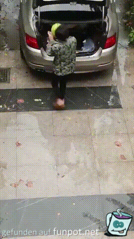 Mißgeschick Mißgeschick