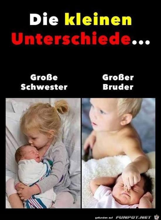 die kleinen Unterchiede die kleinen Unterchiede