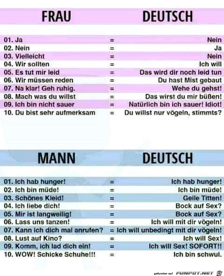 Übersetzer Übersetzer