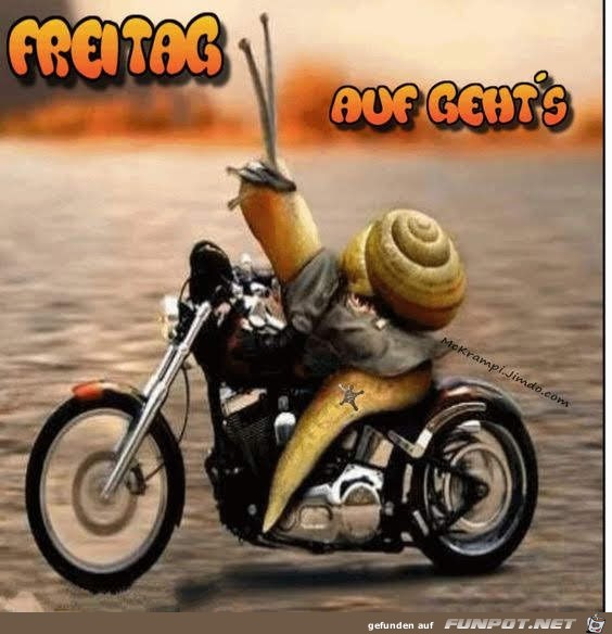 Freitag Freitag
