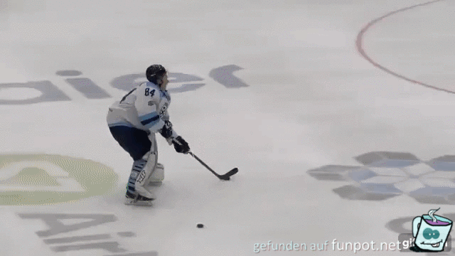 Elegantes Eishockey Tor geschossen