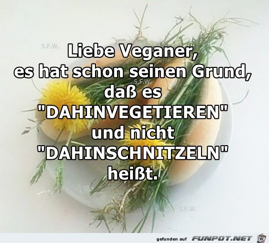 Liebe Veganer Liebe Veganer