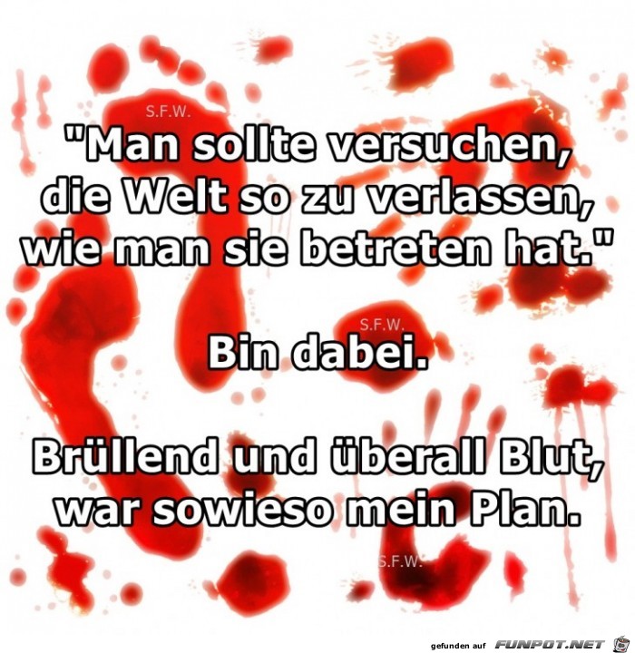 Man sollte versuchen Man sollte versuchen