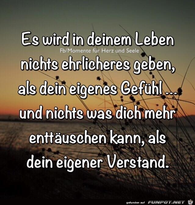 Es wird in deinem Leben Es wird in deinem Leben