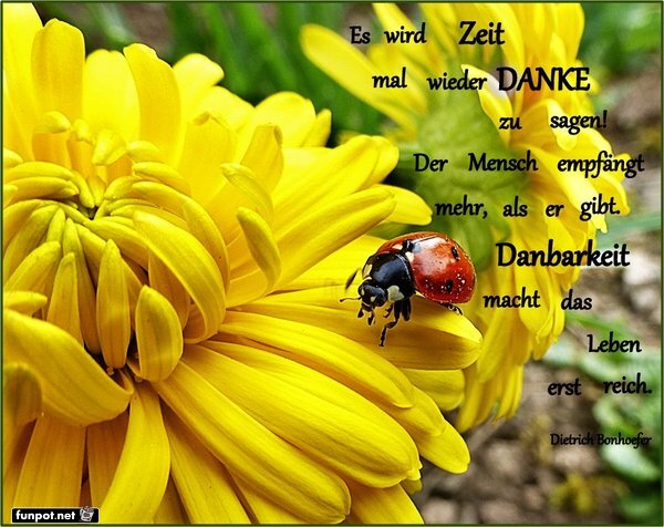 10 schne Sprche und Lebensweisheiten aus...