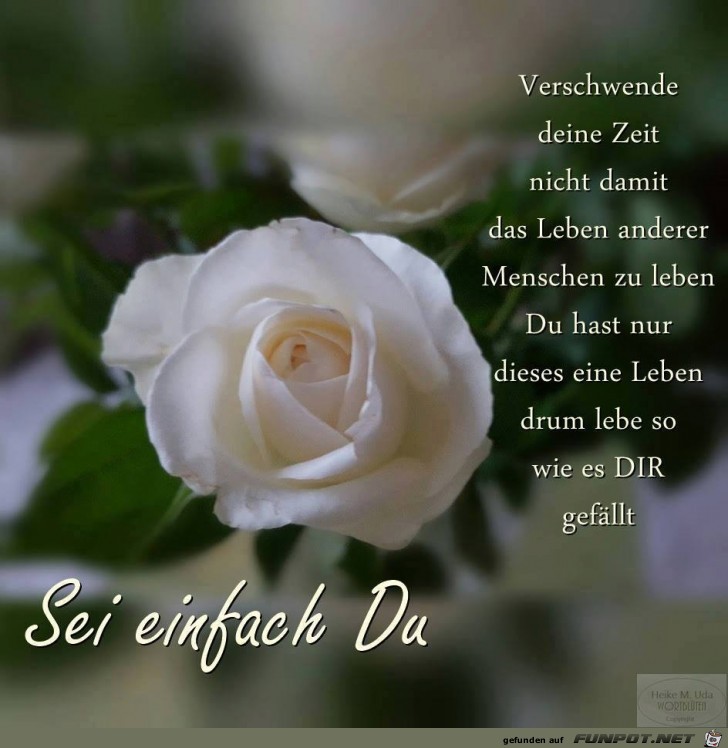 Sei einfach Du Sei einfach Du