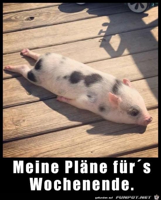 meine plaene meine plaene