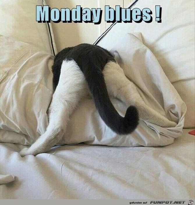 monday blues monday blues