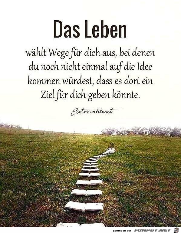 das leben waehlt Wege das leben waehlt Wege