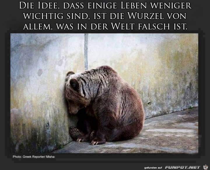 die idee