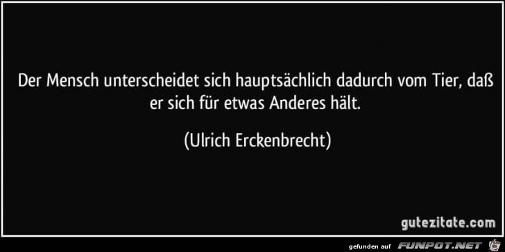 der mensch unterscheidet der mensch unterscheidet