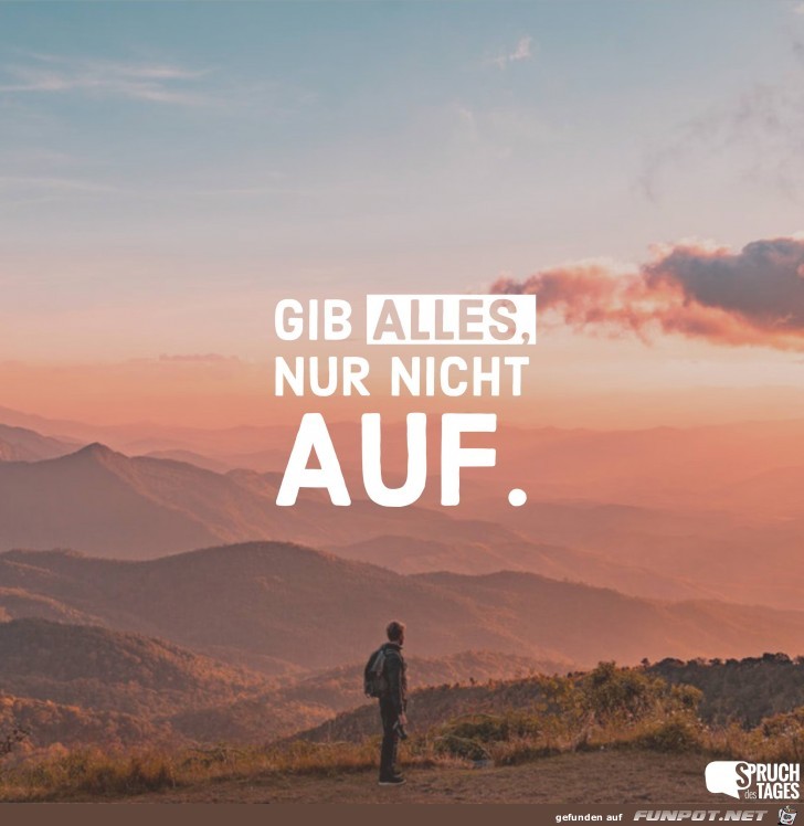 gib-alles-nur-nicht-auf