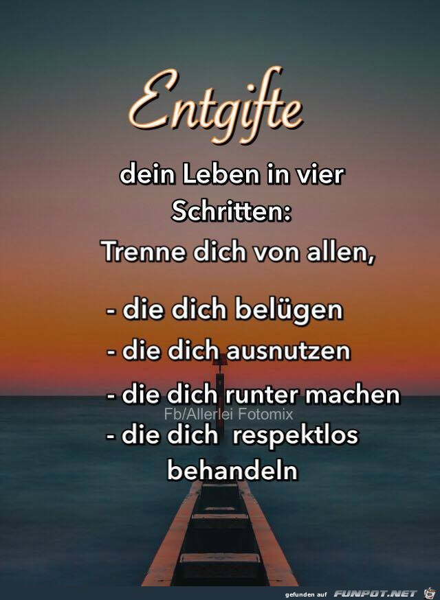 Entgifte Dein Leben