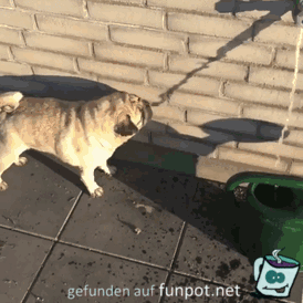 Schattenspiel Schattenspiel