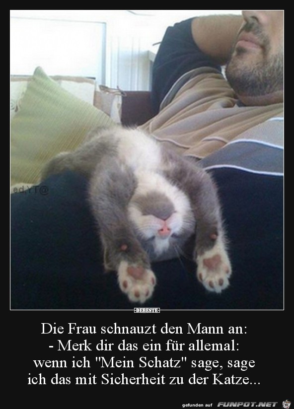 die Frau schnauzt die Frau schnauzt