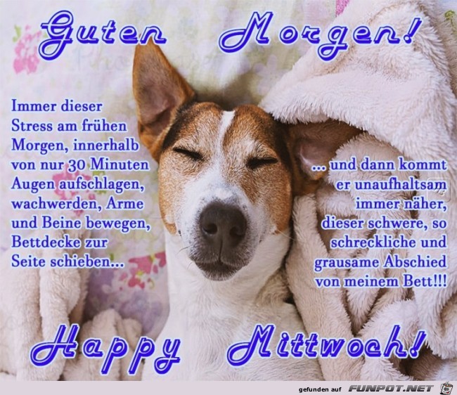 Mittwoch Mittwoch