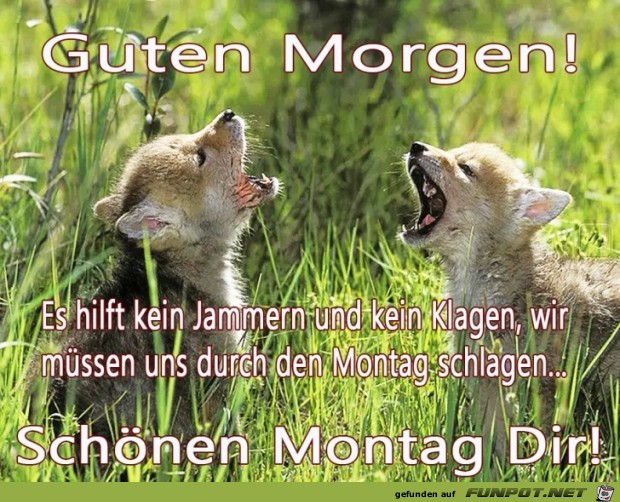 Montag