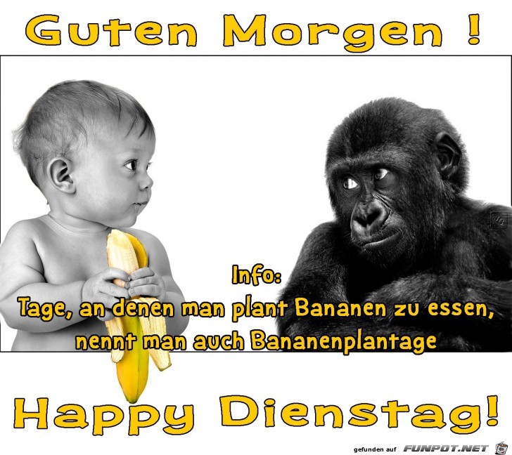 Dienstag