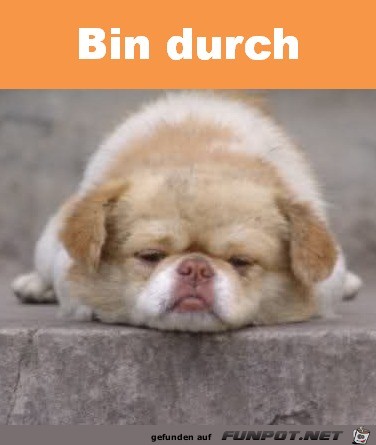 Bin durch Bin durch