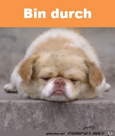 Bin durch