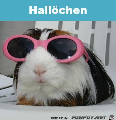Hallo Hallo
