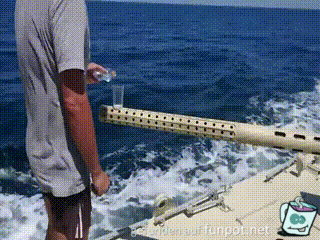 Standsicher auf dem Meer Standsicher auf dem Meer