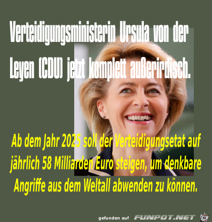 Verteidigungsetat Verteidigungsetat