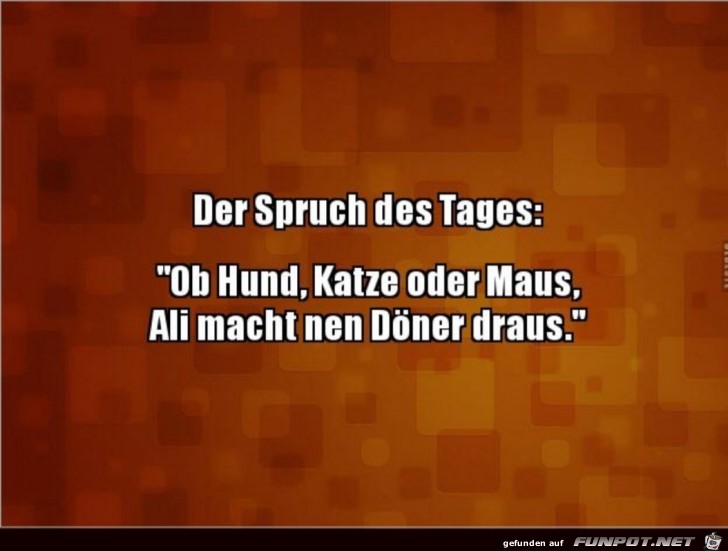 Spruch des Tages Spruch des Tages