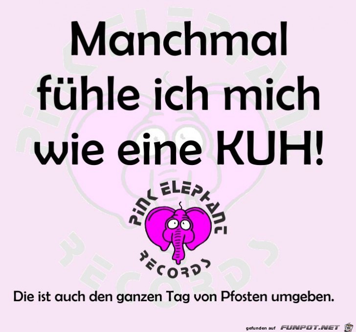 Kuh Kuh
