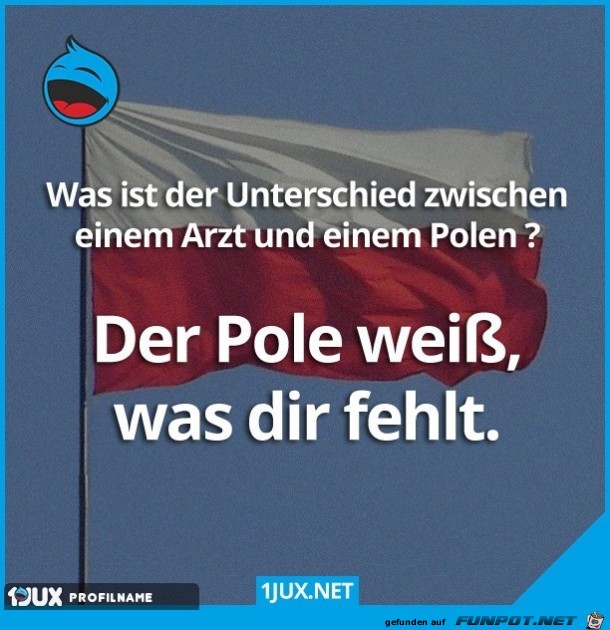 Unterschied zwischen einem Arzt und einem Polen