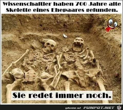 Wissenschaftler Wissenschaftler