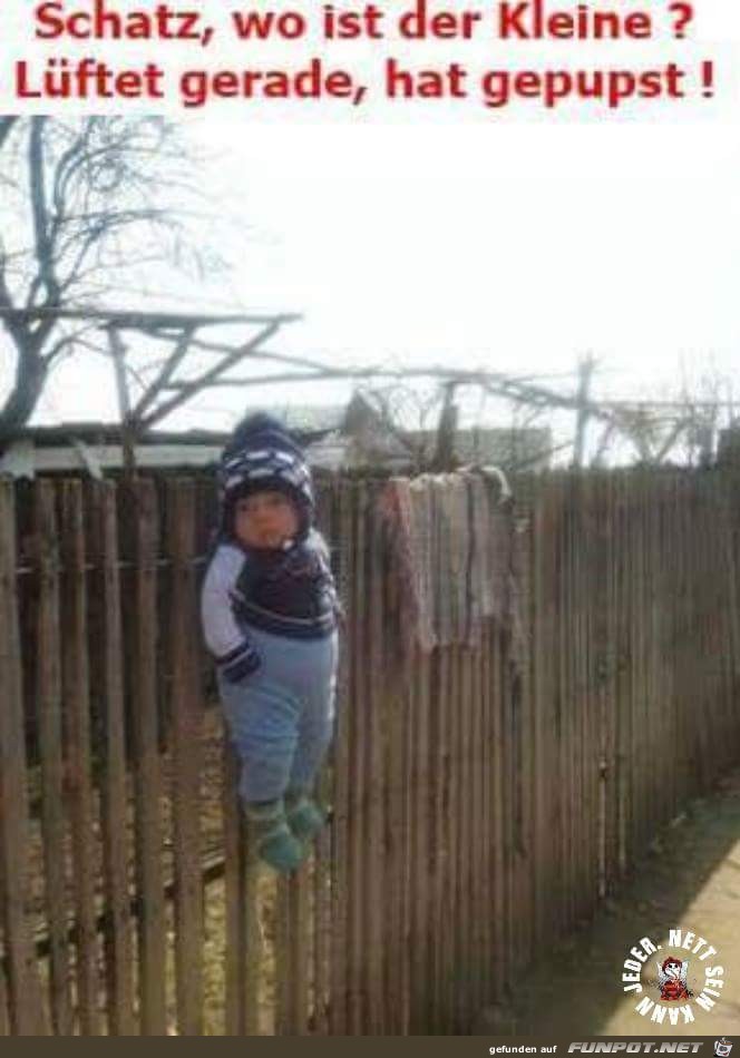 wo ist der kleine wo ist der kleine